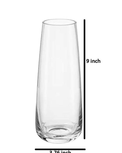 Modern Decorative Glass Vase For Flowers Plants