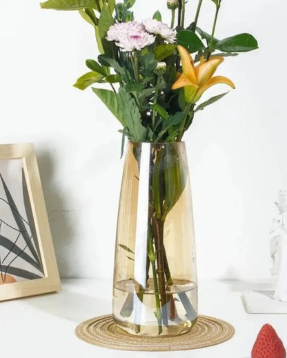 Modern Decorative Glass Vase For Flowers Plants