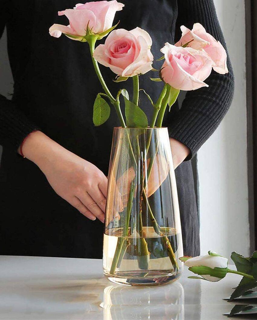 Modern Decorative Glass Vase For Flowers Plants