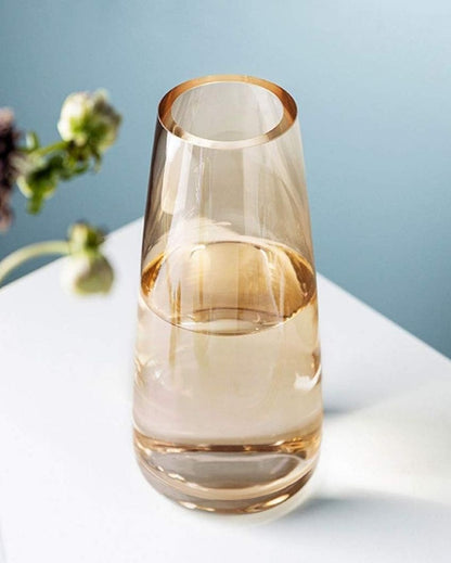 Modern Decorative Glass Vase For Flowers Plants