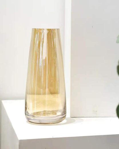 Modern Decorative Glass Vase For Flowers Plants