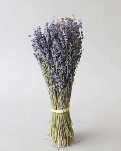 Fragrance Lavender Flower Bunch | 1 feet | Set of 40 Stems