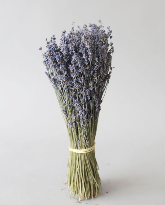 Fragrance Lavender Flower Bunch | Set of 40 Srems