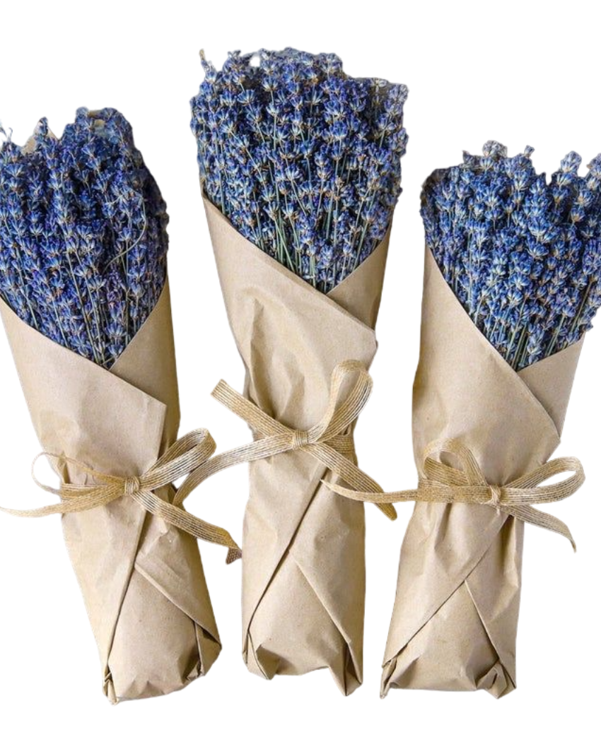 Fragrance Lavender Flower Bunch | Set of 40 Srems