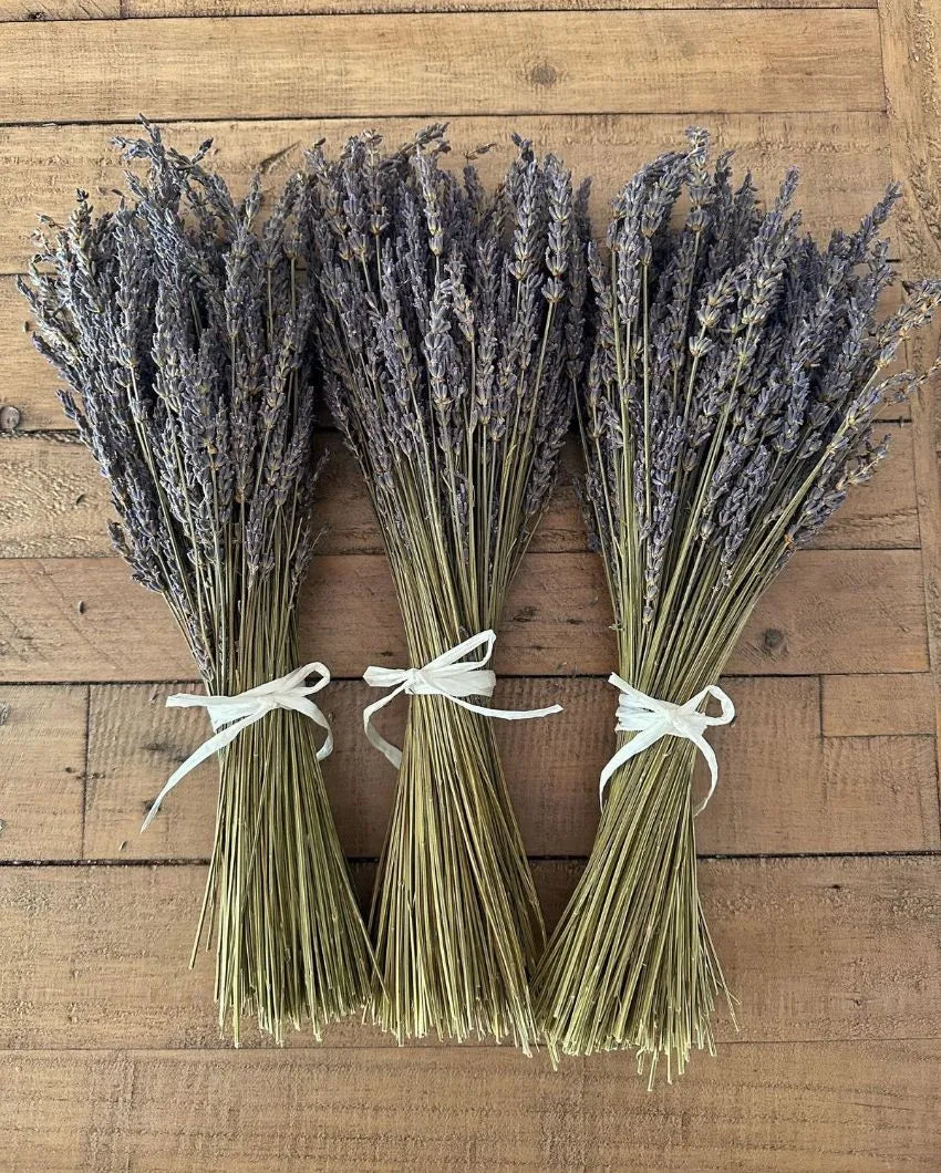 Fragrance Lavender Flower Bunch | Set of 40 Srems