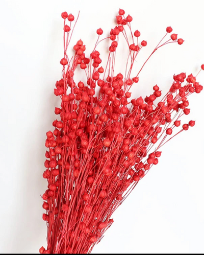 Flax Dried Flower Bunch | 28 inches