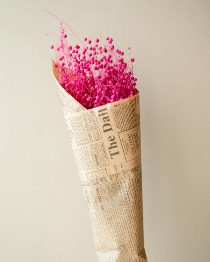 Flax Dried Flower Bunch