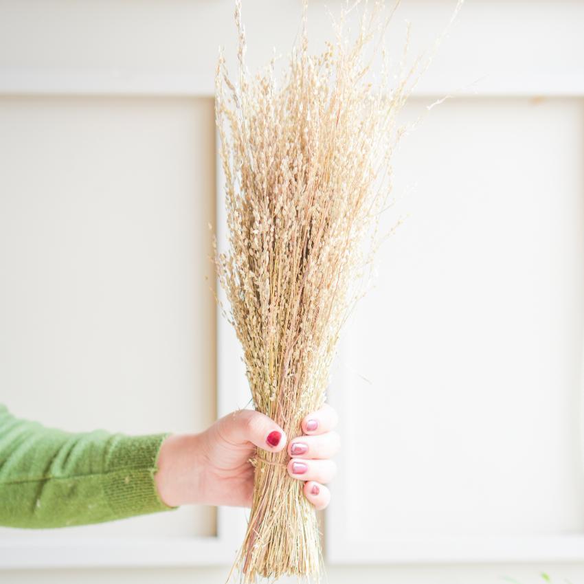 Wild Star Grass Natural Dried Flower | 28 x 4 x 6 inches