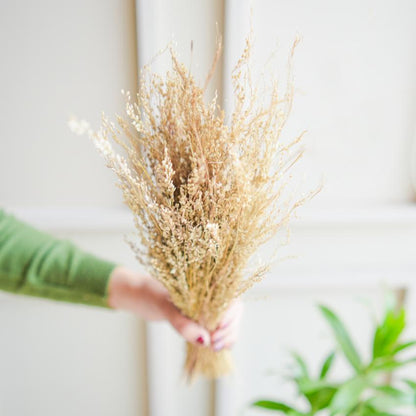 Wild Star Grass Natural Dried Flower | 28 x 4 x 6 inches