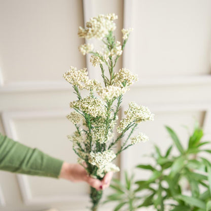 Elegant White Dried Flower | 28 x 4 x 6 inches