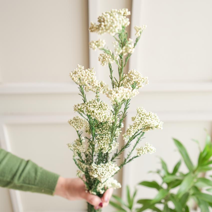 Elegant White Dried Flower | 28 x 4 x 6 inches