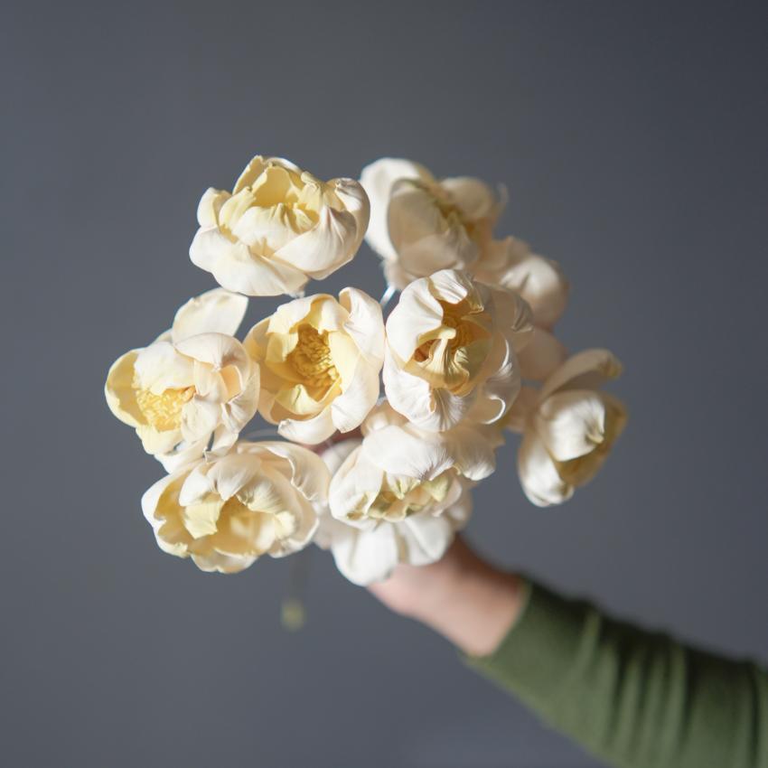 Dual Shade Sola Peony Yellow & White Dried Flower | 28 x 4 x 6 inches