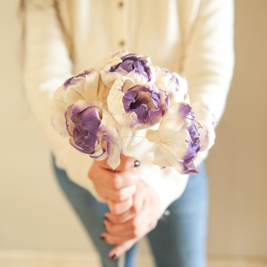 Majestic Dual Shade Sola Peony Purple & White Dried Flower | 28 x 4 x 6 inches