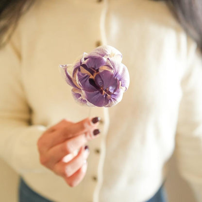 Majestic Dual Shade Sola Peony Purple & White Dried Flower | 28 x 4 x 6 inches