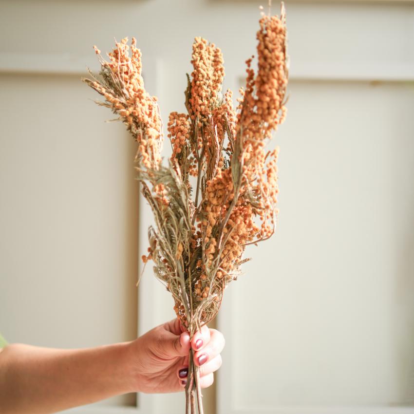 Lively Mimosa Rust & Green Dried Flower | 28 x 4 x 6 inches