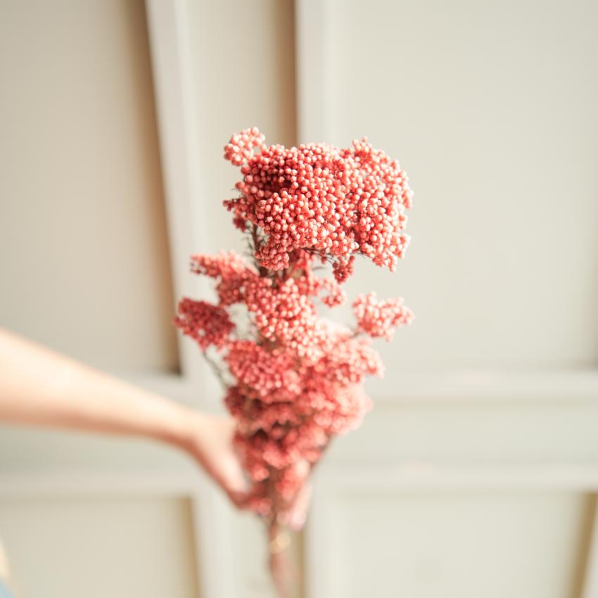 Romantic Dark Pink Dried Flower | 28 x 4 x 6 inches