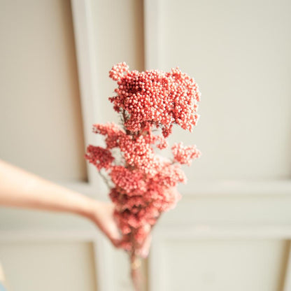 Romantic Dark Pink Dried Flower | 28 x 4 x 6 inches