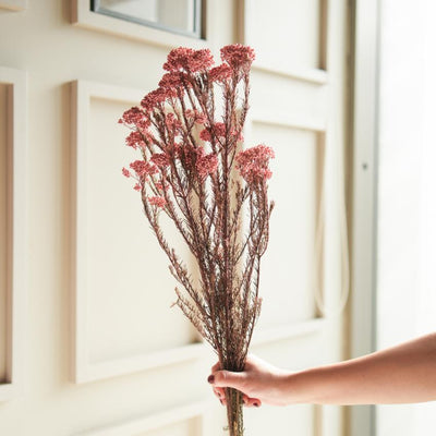 Elegant Light Pink Dried Flower | 28 x 4 x 6 inches