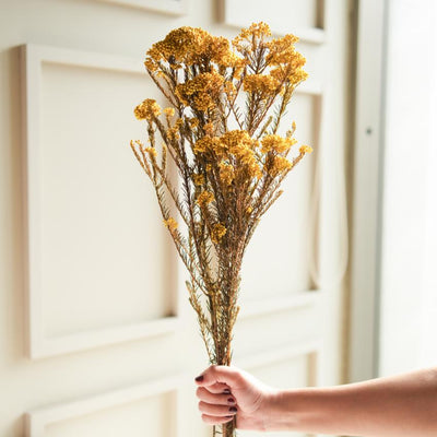 Elegant Bright Yellow Dried Flower | 28 x 4 x 6 inches