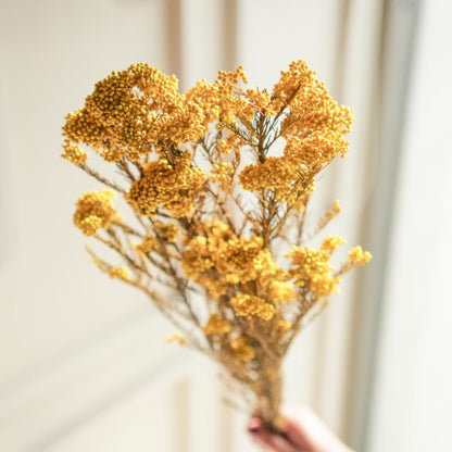 Elegant Bright Yellow Dried Flower | 28 x 4 x 6 inches