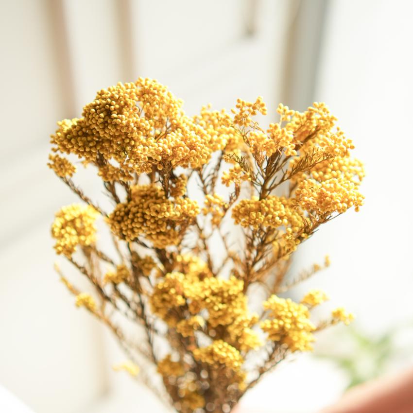 Elegant Bright Yellow Dried Flower | 28 x 4 x 6 inches