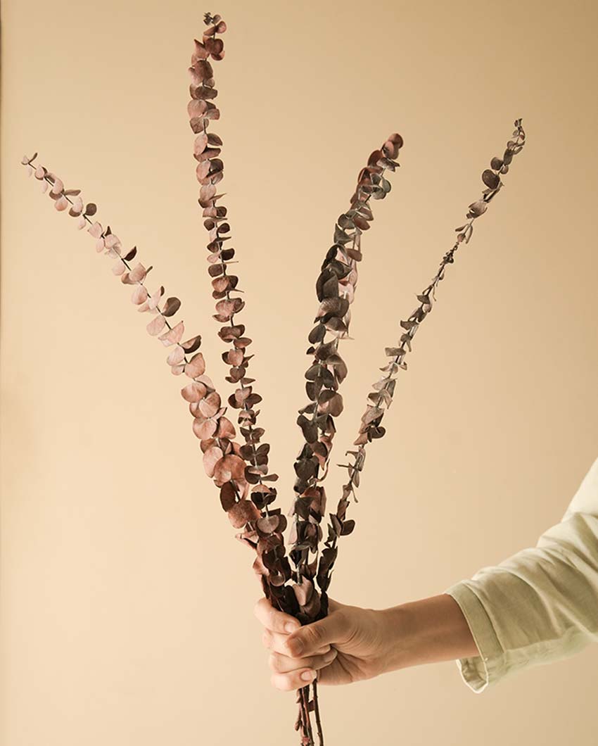 Brown Eucalyptus Leaves Without Vase | 5 Stems | 28 x 6 x 4 inches