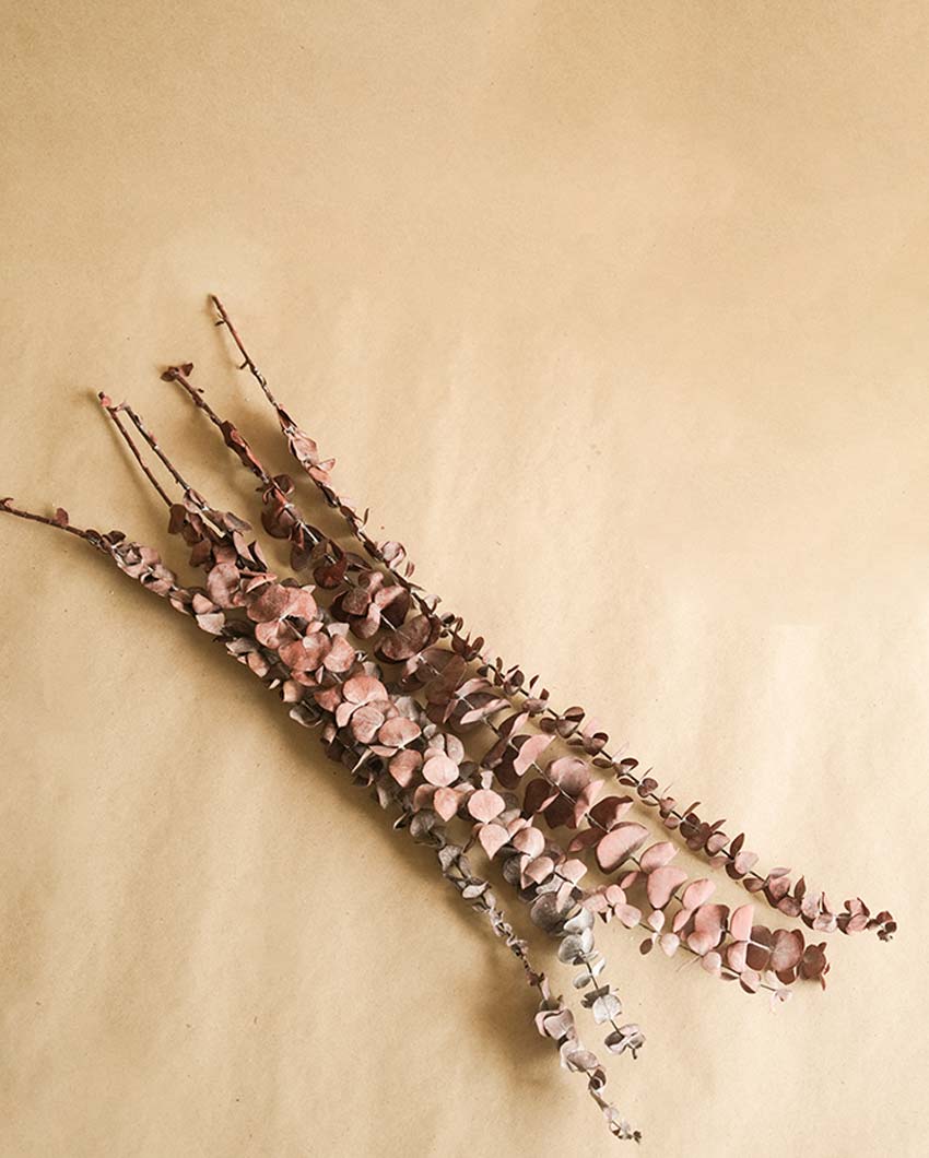 Brown Eucalyptus Leaves Without Vase | 5 Stems | 28 x 6 x 4 inches