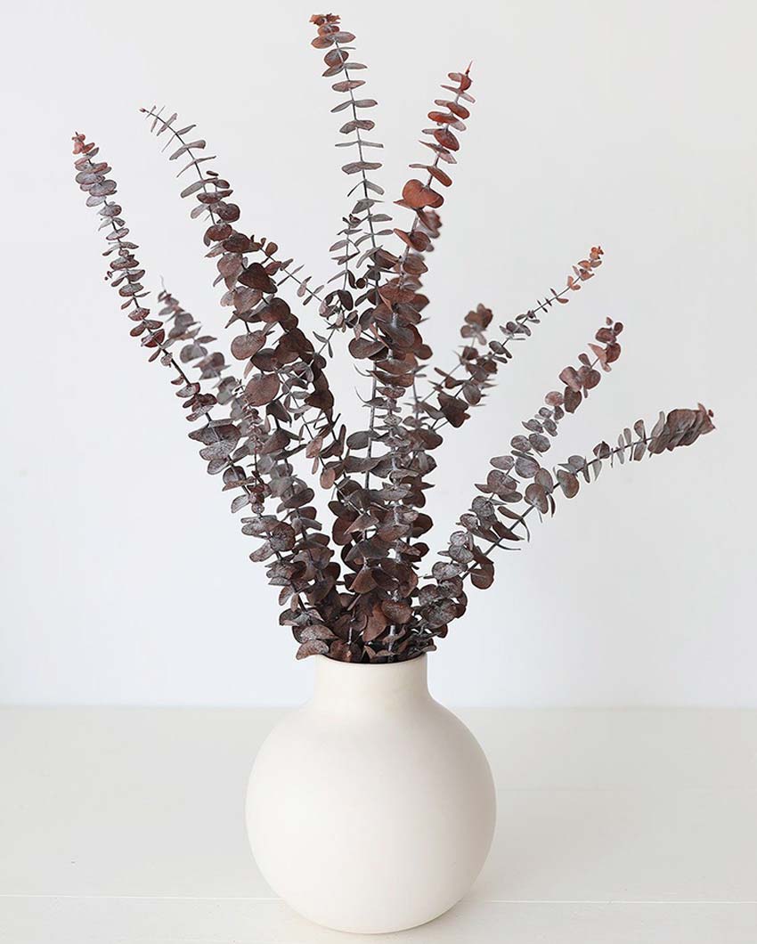 Brown Eucalyptus Leaves Without Vase | 5 Stems | 28 x 6 x 4 inches