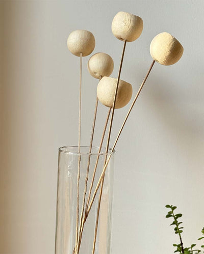 Natural Decorative Living Dried 5 Bell Cup Flowers | 16 inches | Vase not included