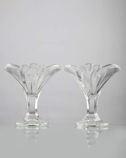 Beautiful Design Clear Shade Glasses | Set of 2 | 4 x 5 inches | 200ml