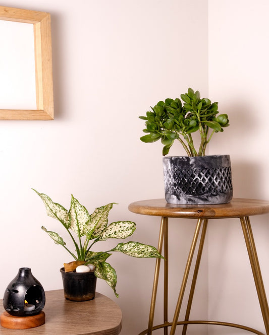 Bold Geometric Structure Dimen Concrete Planter | 6 x 6 x 5 inches