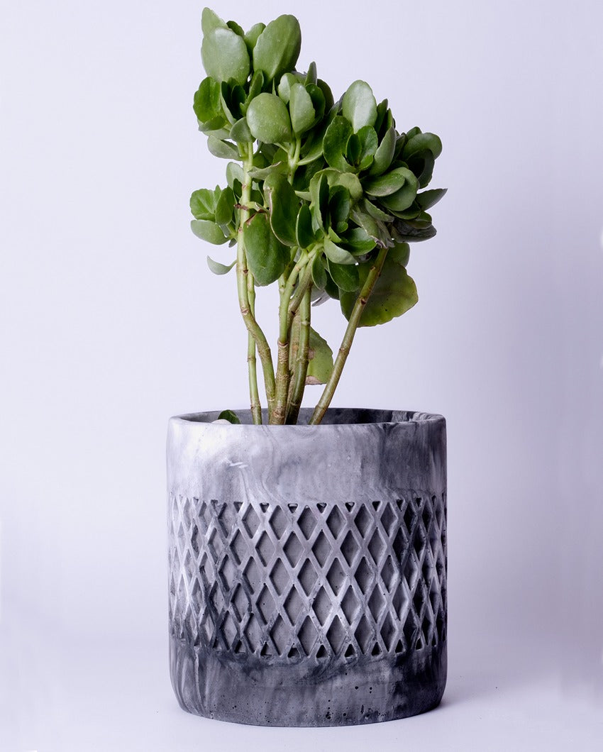 Bold Geometric Structure Dimen Concrete Planter | 6 x 6 x 5 inches