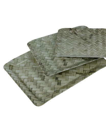 Green Check Colored Melamine Serving Trays | Set Of 3