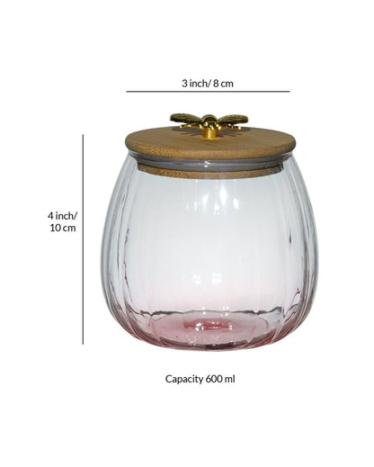 Borosilicate Dry Fruit Serving Jars Set | Pack of 3