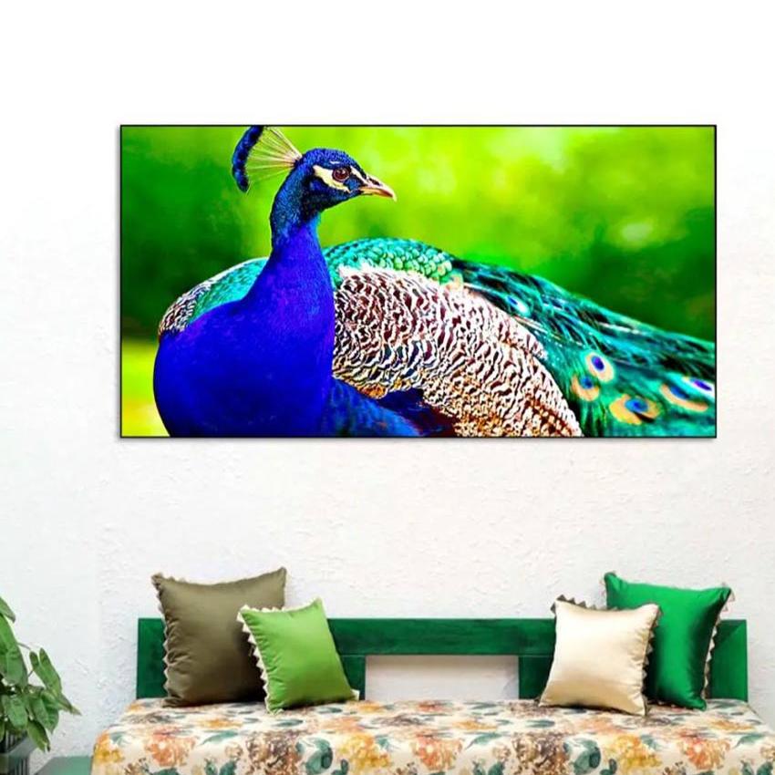 Beautiful Peacock Floating Framed Canvas Wall Painting 24x12 inches