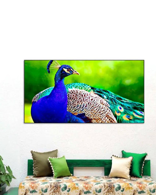 Beautiful Peacock Floating Framed Canvas Wall Painting 24x12 inches
