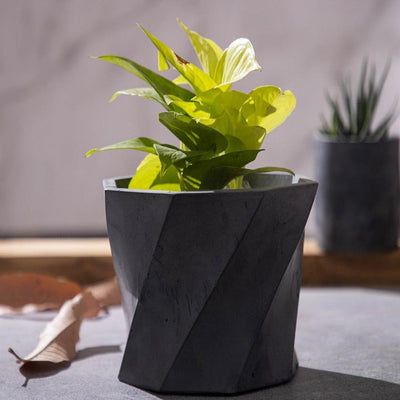 Large Elegant Design Dyoct Concrete Planter | 7 x 7 x 5 inches