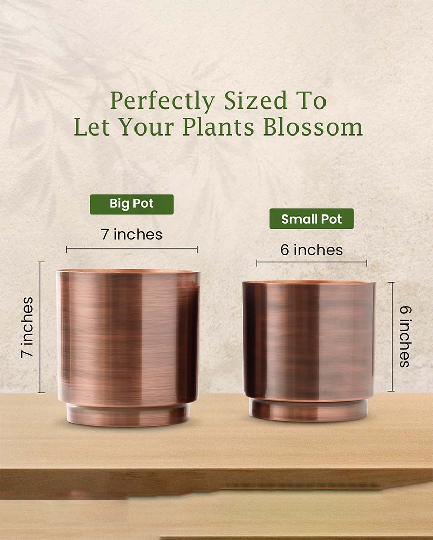 Elegant Dew Metal Planters | Set Of 2 | Plant not included