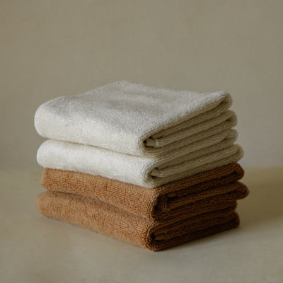 Absorbent Terry Plush Guest Hand Towels | Pack of 2 | 24 x 24 inches