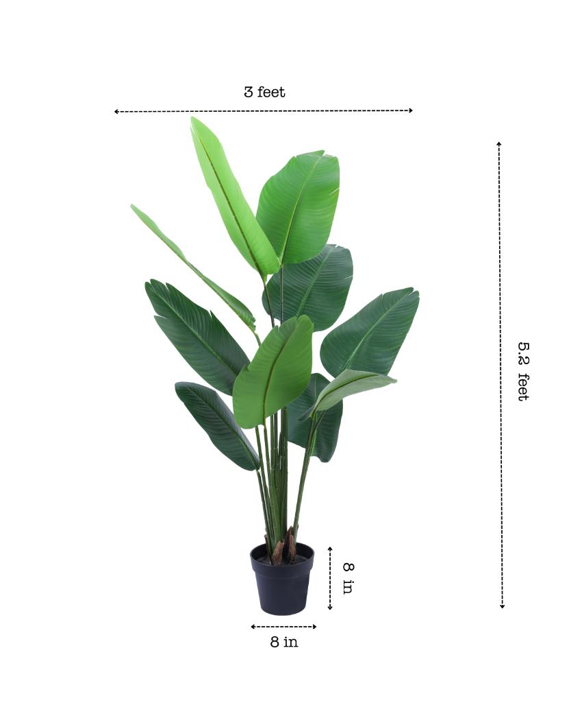 Eco-Friendly Artificial Banana Plant with Black Pot