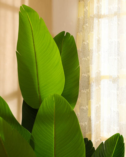 Eco-Friendly Artificial Banana Plant with Black Pot