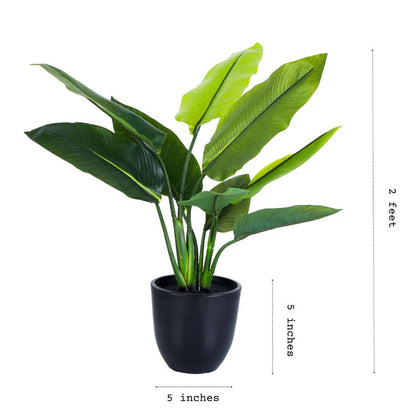 Artificial Potted Banana Plant Display | 5 x 5 x 20 inches