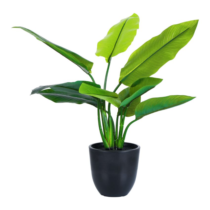 Artificial Potted Banana Plant Display | 5 x 5 x 20 inches