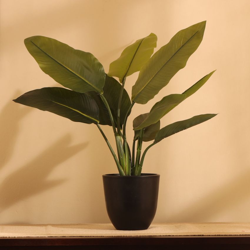 Artificial Potted Banana Plant Display | 5 x 5 x 20 inches