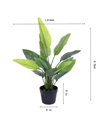 Inviting Artificial Banana Potted Plant | 2 Feet