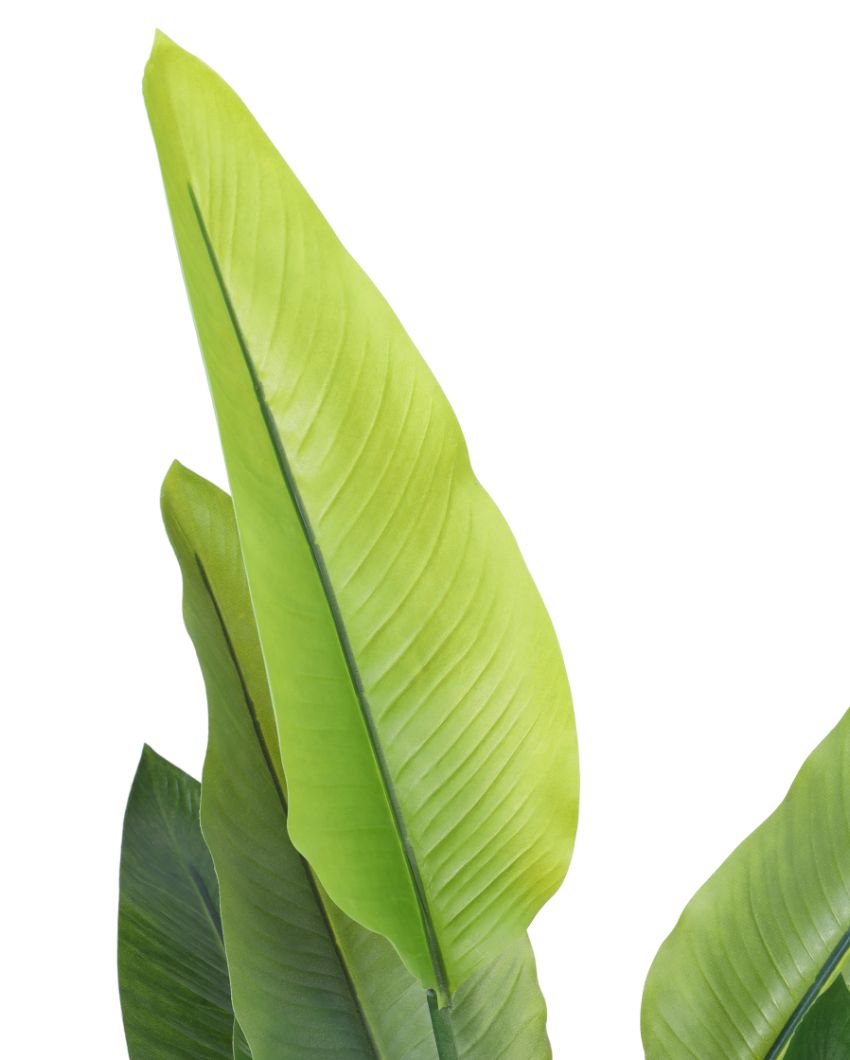 Inviting Artificial Banana Potted Plant | 2 Feet