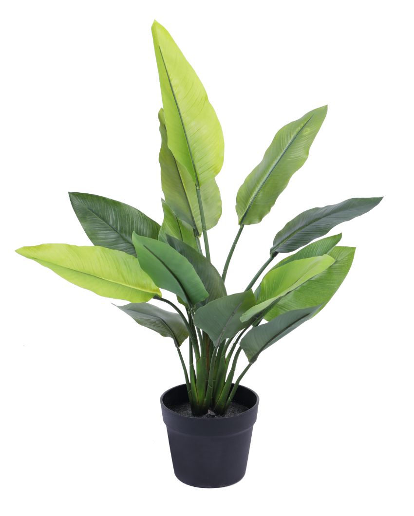 Inviting Artificial Banana Potted Plant | 2 Feet