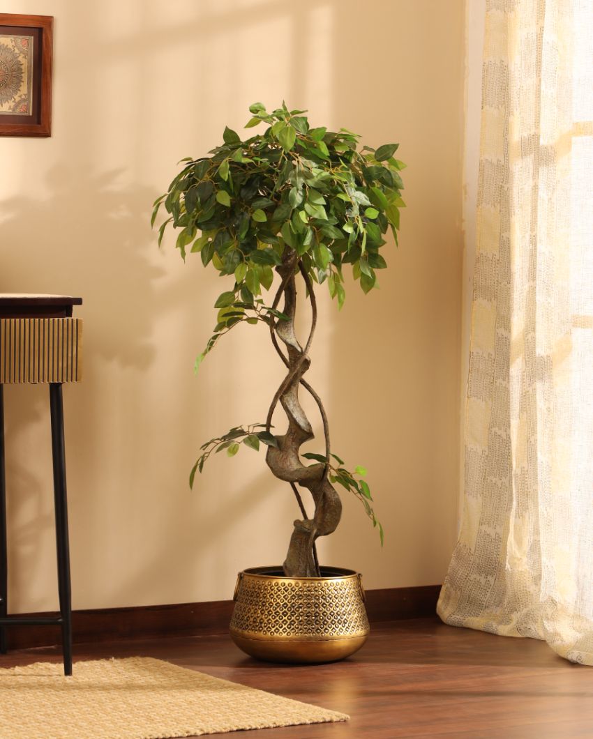 Sophisticated Artificial Ficus Bonsai with Black Pot