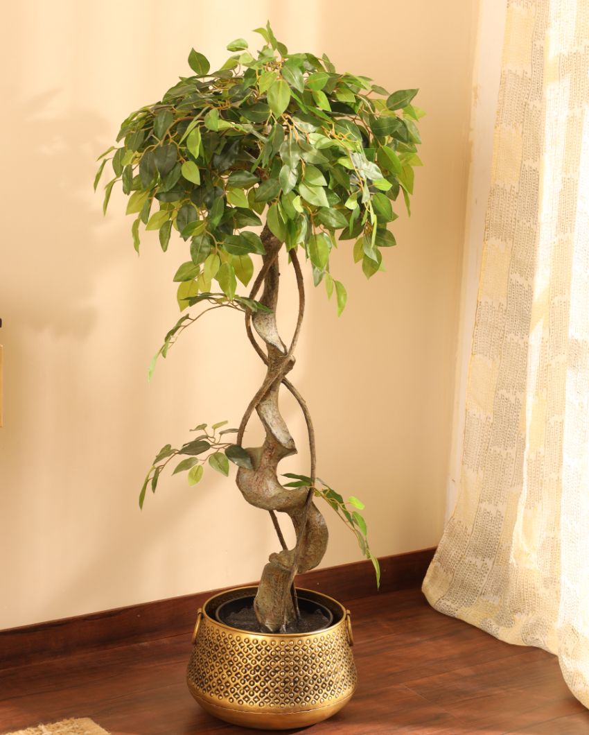 Sophisticated Artificial Ficus Bonsai with Black Pot