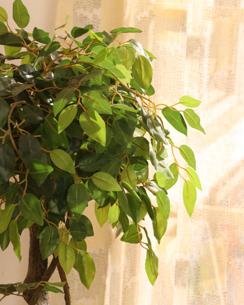 Sophisticated Artificial Ficus Bonsai with Black Pot